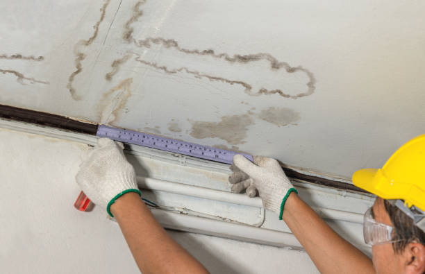 Reliable Structural Drying contractor in Rothbury, MI by Water Damage Irwin